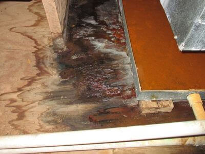 About Fresh Start Restoration - water damage restoration experts in Rochester