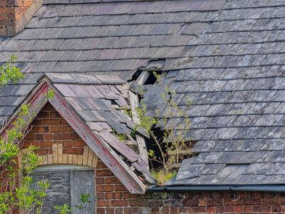 Professional water damage restoration services in Rochester - Fresh Start Restoration